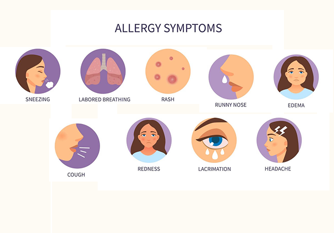 Allergies and Asthma 3